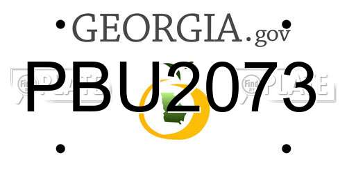 PBU2073 Georgia License Plate