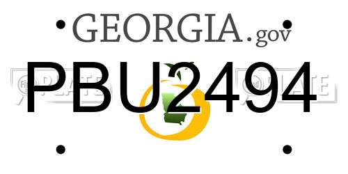 PBU2494 Georgia License Plate