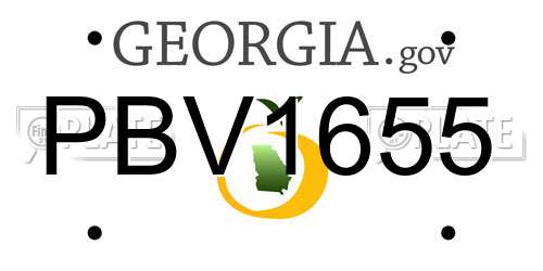 PBV1655 Georgia License Plate