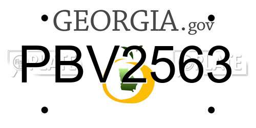 PBV2563 Georgia License Plate
