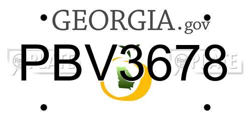 PBV3678 Georgia License Plate