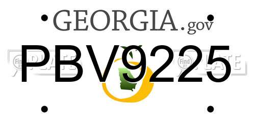PBV9225 Georgia License Plate