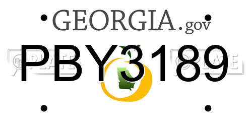 PBY3189 Georgia License Plate