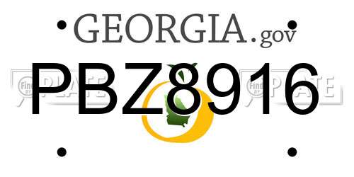 PBZ8916 Georgia License Plate