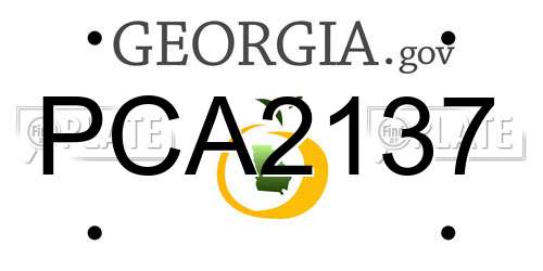 PCA2137 Georgia License Plate