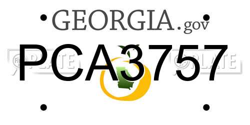 PCA3757 Georgia License Plate