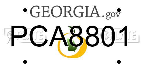 PCA8801 Georgia License Plate