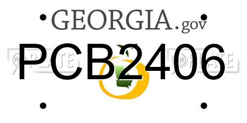 PCB2406 Georgia License Plate