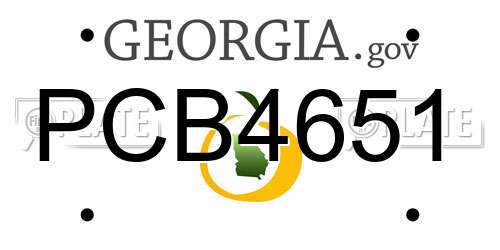 PCB4651 Georgia License Plate