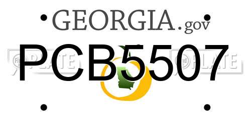 PCB5507 Georgia License Plate