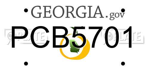 PCB5701 Georgia License Plate