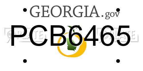PCB6465 Georgia License Plate