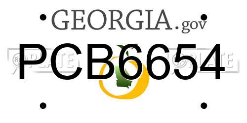 PCB6654 Georgia License Plate