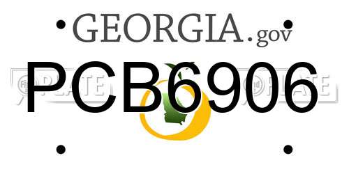 PCB6906 Georgia License Plate