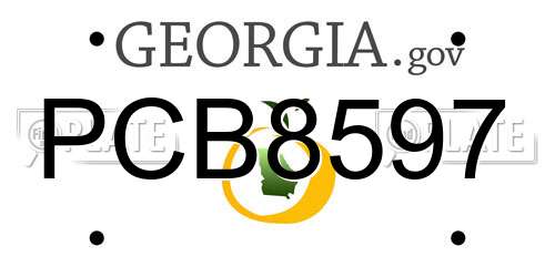 PCB8597 Georgia License Plate