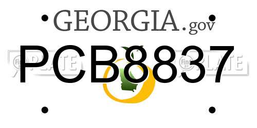 PCB8837 Georgia License Plate
