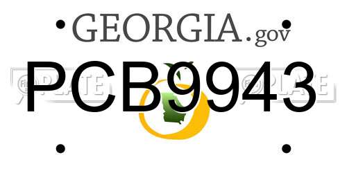 PCB9943 Georgia License Plate