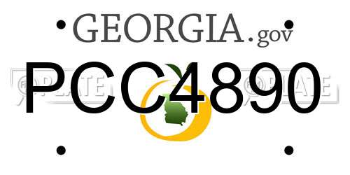 PCC4890 Georgia License Plate