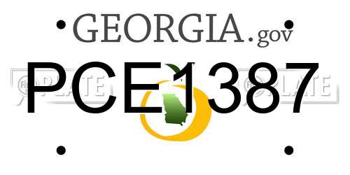 PCE1387 Georgia License Plate