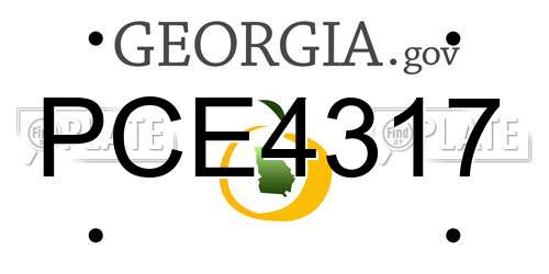 PCE4317 Georgia License Plate