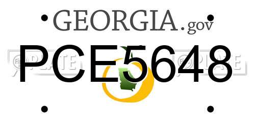 PCE5648 Georgia License Plate