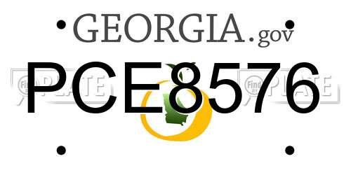 PCE8576 Georgia License Plate