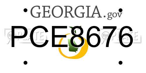 PCE8676 Georgia License Plate