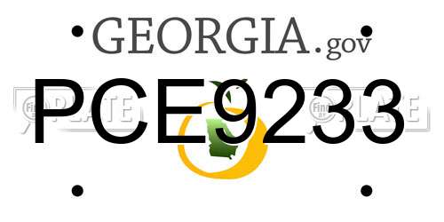 PCE9233 Georgia License Plate