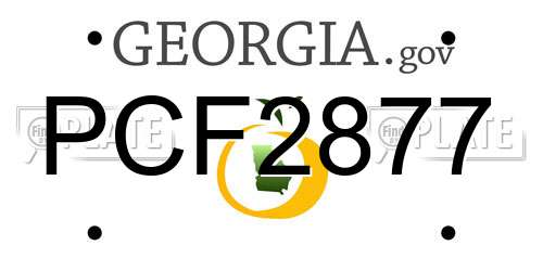PCF2877 Georgia License Plate