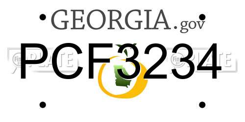 PCF3234 Georgia License Plate