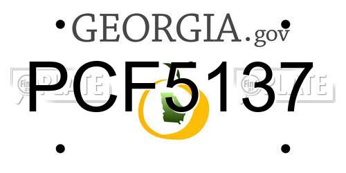 PCF5137 Georgia License Plate