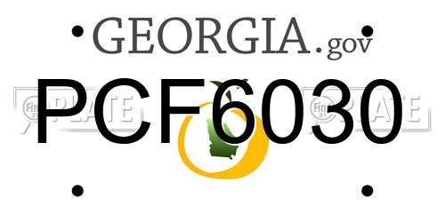 PCF6030 Georgia License Plate