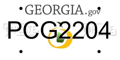 PCG2204 Georgia License Plate