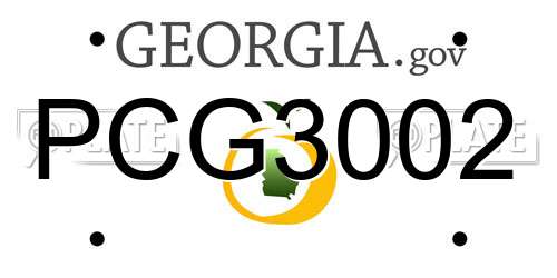 PCG3002 Georgia License Plate
