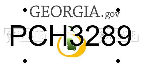 PCH3289 Georgia License Plate