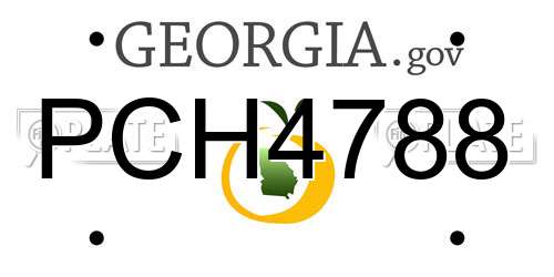 PCH4788 Georgia License Plate