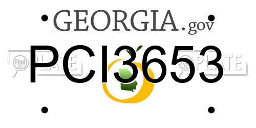 PCI3653 Georgia License Plate