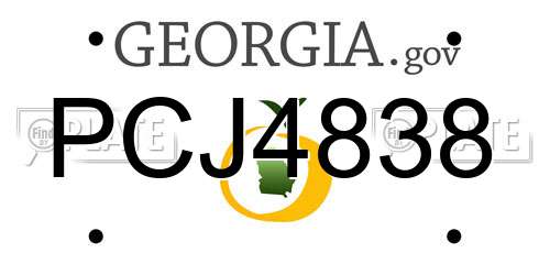PCJ4838 Georgia License Plate