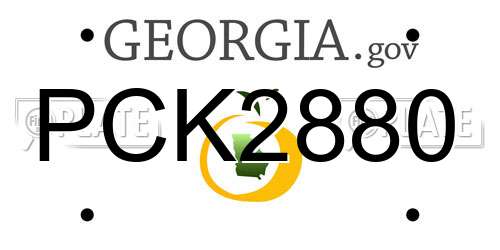 PCK2880 Georgia License Plate