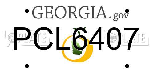 PCL6407 Georgia License Plate