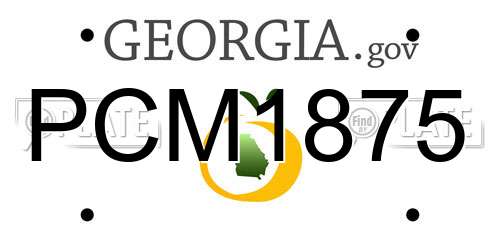 PCM1875 Georgia License Plate