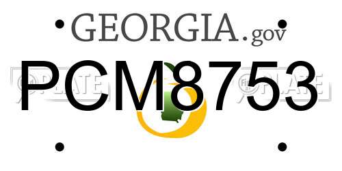 PCM8753 Georgia License Plate