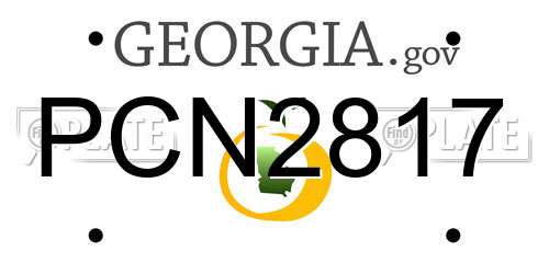 PCN2817 Georgia License Plate