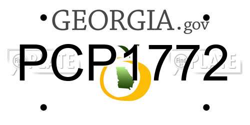 PCP1772 Georgia License Plate