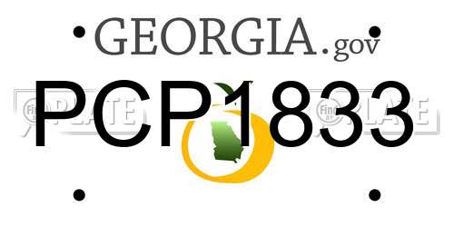 PCP1833 Georgia License Plate