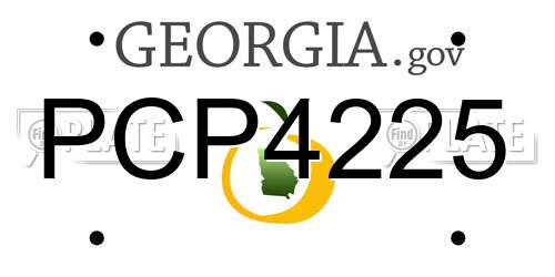 PCP4225 Georgia License Plate
