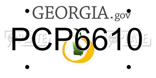 PCP6610 Georgia License Plate