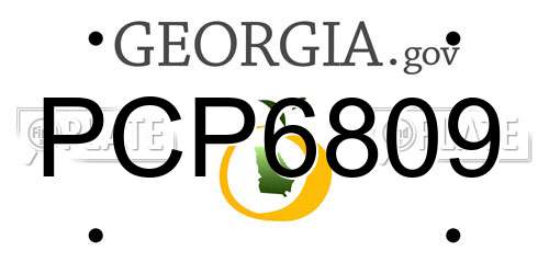 PCP6809 Georgia License Plate