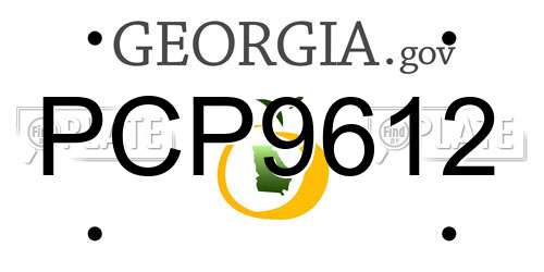 PCP9612 Georgia License Plate