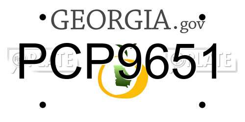 PCP9651 Georgia License Plate